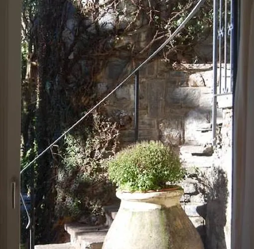 Giardino Violetta * לוגאנו