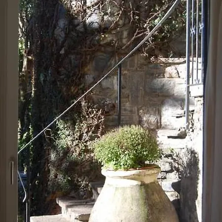 Giardino Violetta * לוגאנו